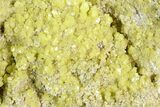 Sulfur Crystal Cluster on Matrix - Nevada #129749-2